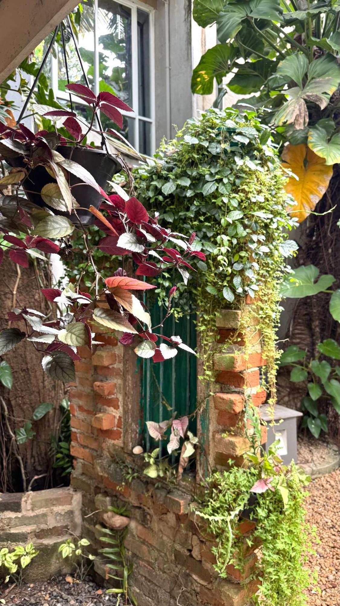 Gomez Place Negombo Dış mekan fotoğraf